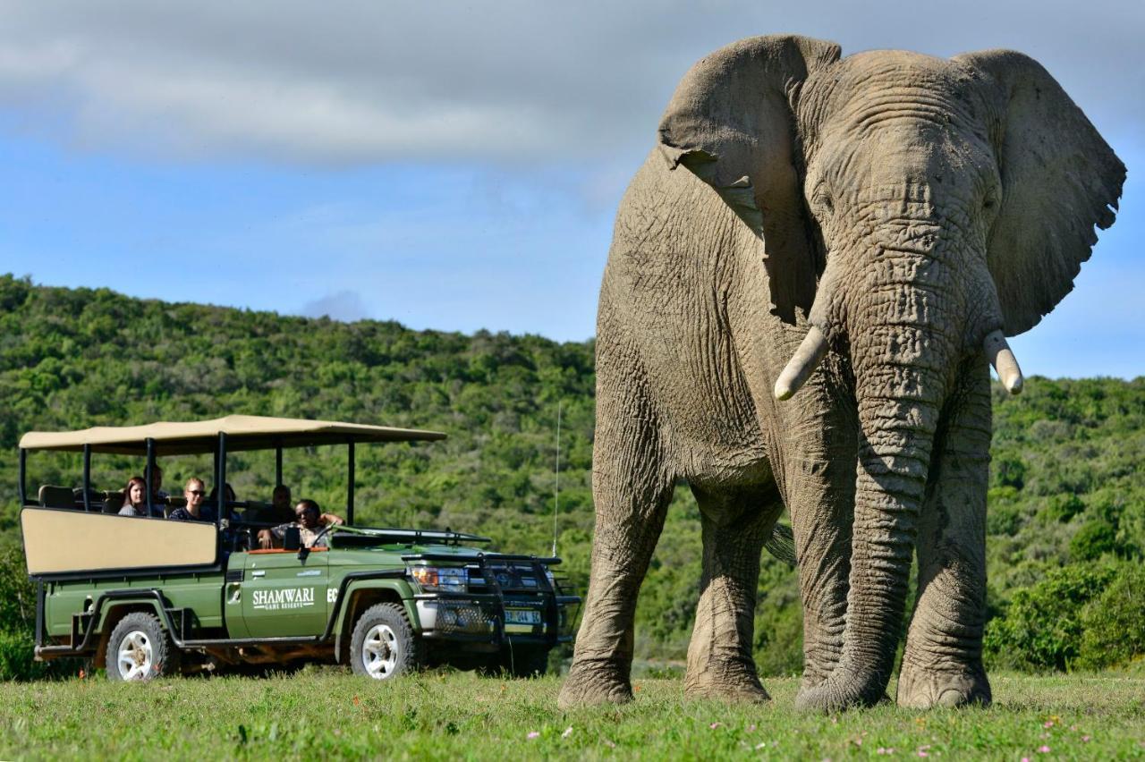 Shamwari Riverdene Paterson Zewnętrze zdjęcie